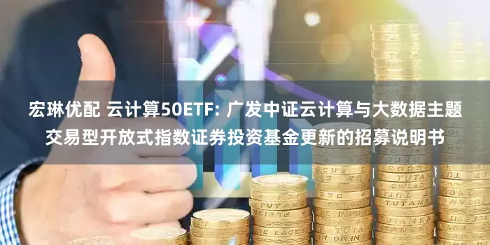 宏琳优配 云计算50ETF: 广发中证云计算与大数据主题交易型开放式指数证券投资基金更新的招募说明书