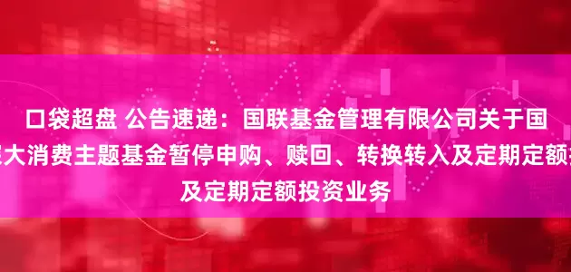 口袋超盘 公告速递：国联基金管理有限公司关于国联沪港深大消费主题基金暂停申购、赎回、转换转入及定期定额投资业务