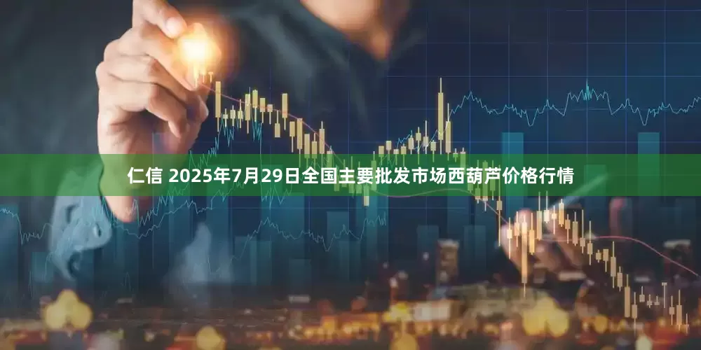 仁信 2025年7月29日全国主要批发市场西葫芦价格行情