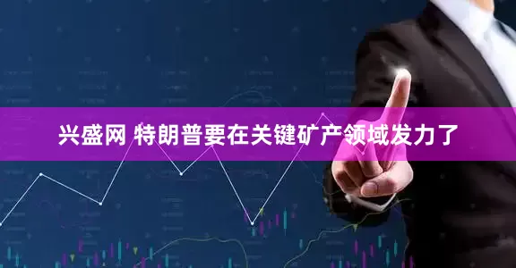 兴盛网 特朗普要在关键矿产领域发力了